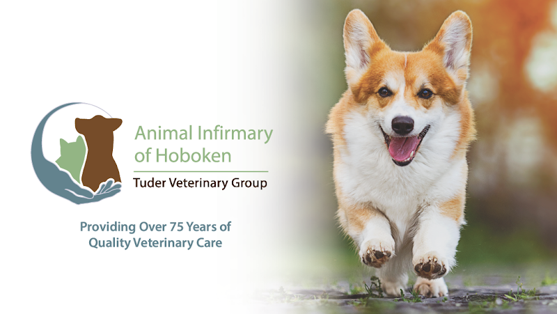 Animal Infirmary of Hoboken