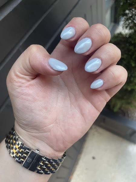 Zenisalon Zenisalon